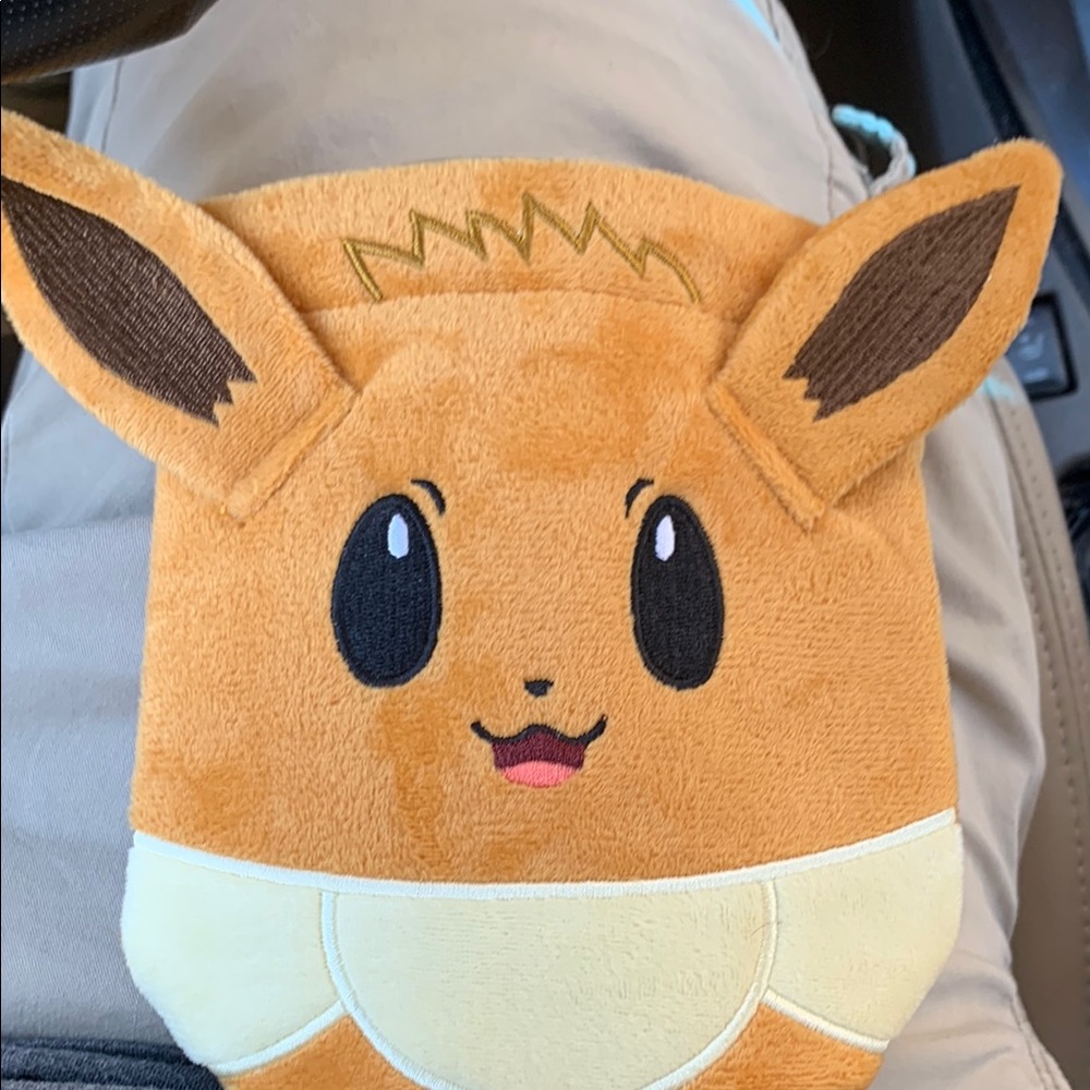 Brand new eevee pouch straight from box